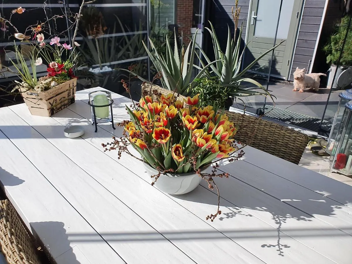 B&B Modern Times Amsterdam Netherlands